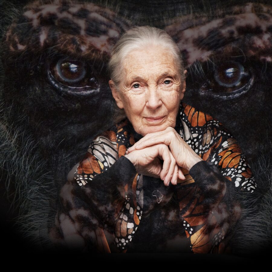 Jane Goodall Instituut
